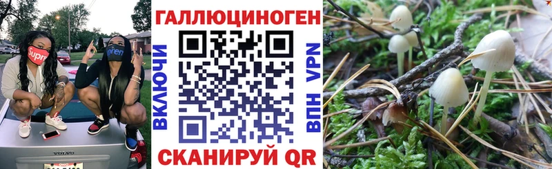 Псилоцибиновые грибы GOLDEN TEACHER  гидра зеркало  Нелидово  магазин   
